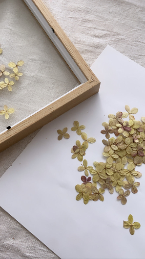 Atelier Herbiers