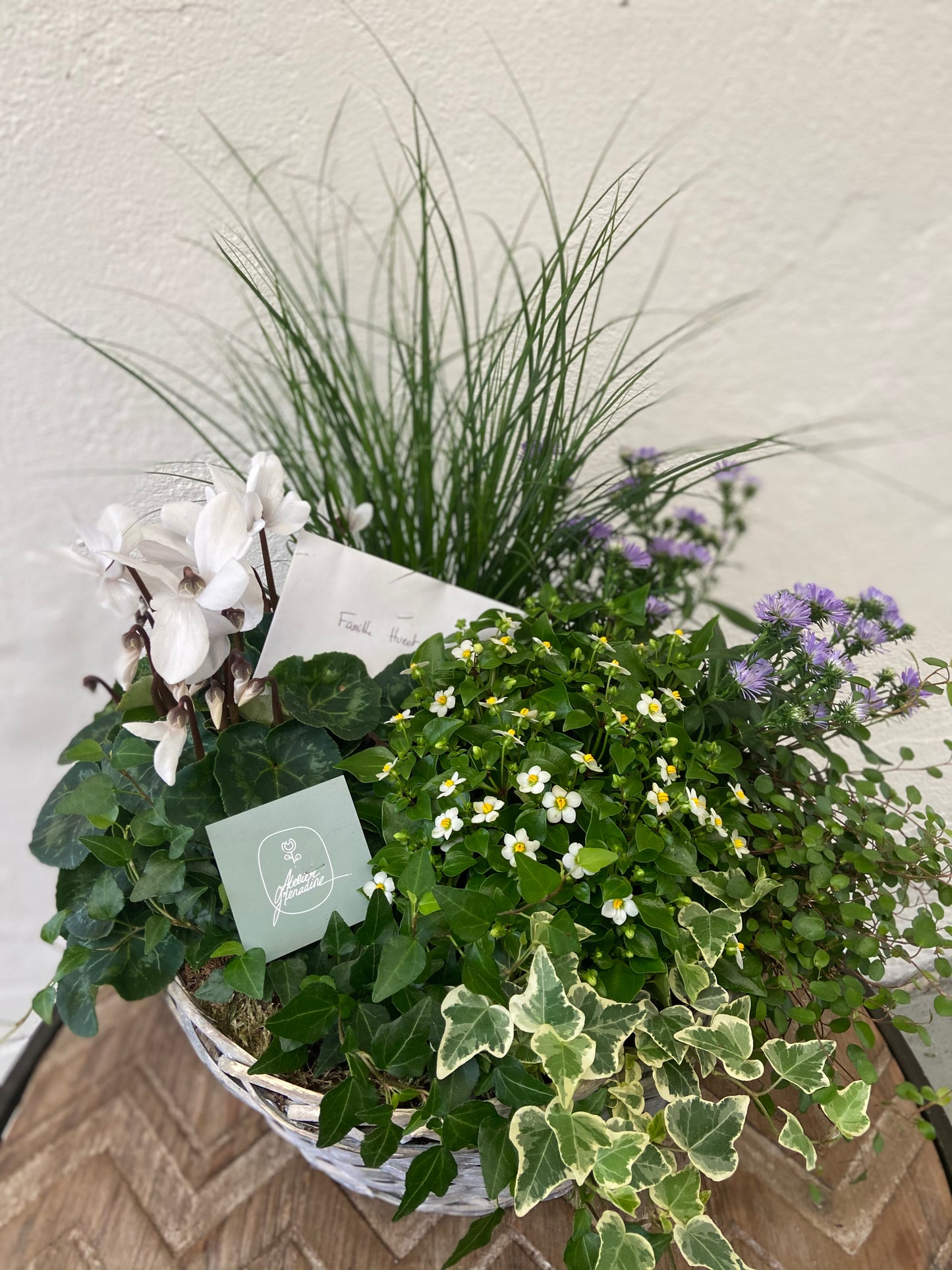 Atelier composition de plantes