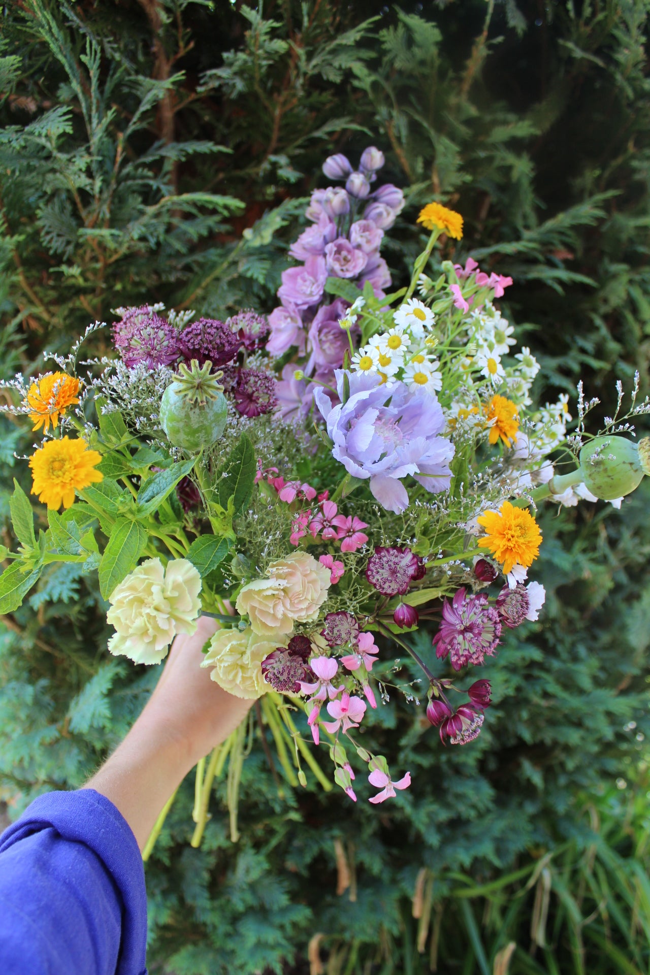 Le bouquet de la semaine